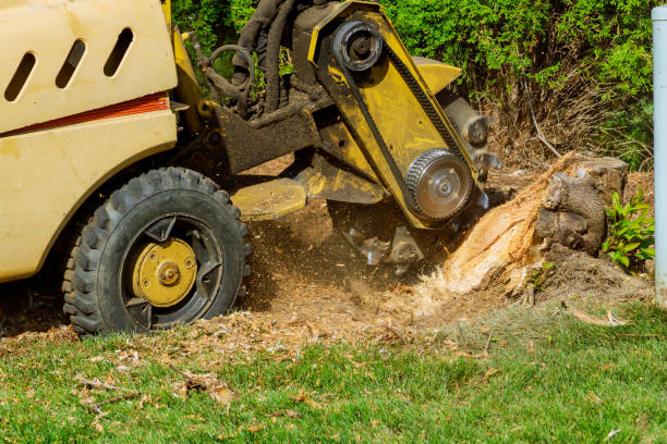 Lawn Renovation and Restoration in Breckenridge, TX